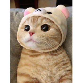 learning how to do stuff