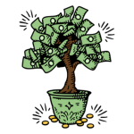 Tree Bank Experience