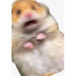 Kielroblox