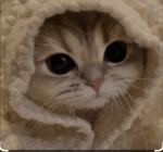!i.