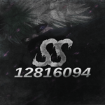 彡 SS