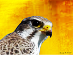 Golden Falcon Gamers