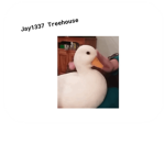 Jay1337 Treehouse