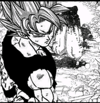 Goku solos gojo