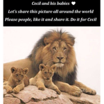 Ze Lion Squad