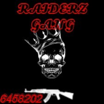 THE RAIDERZ GANG