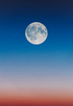 Lunar Pulse