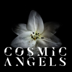 ୨ cosmic angels ୧