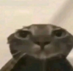 iuhfasuhdAIWHUfasidufhAS