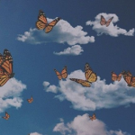 rain clouds and butterflies
