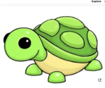 :D turtle group:D