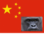 China Ape Gang
