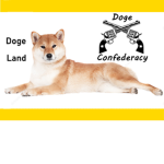 U.S Doges