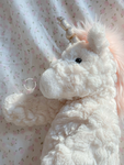 “Unicorns ROCK”
