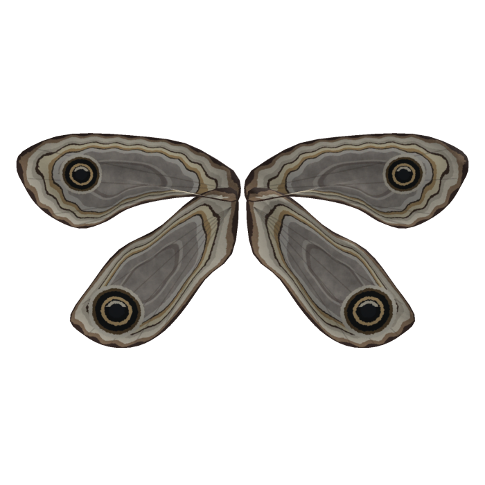 Ivory Emperor - Moth Wings