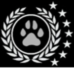 Regular furry group