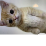 Mimi fine and cute
