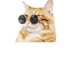 #kittycutegroupforpoor!