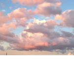 • the clouds •