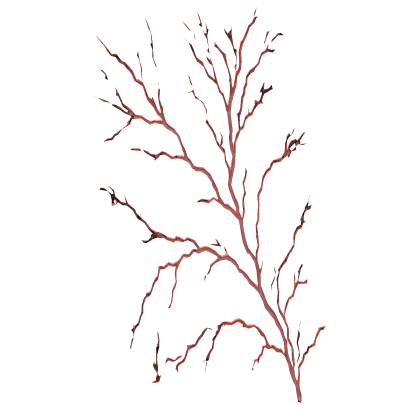 Face Veins Roblox item