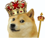 doge fan group 69
