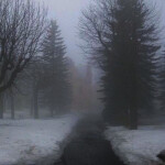 remember this winter