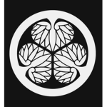 Tokugawa - Kai Financials