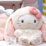 ✧･ﾟ: *✧･ﾟ:*