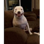 zeus’s cuh’s