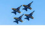 PTFS Blue Angels Airshows and escourts