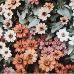 Littl ladybugss