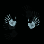 ∙ Animated ∙