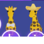 Team_Ice