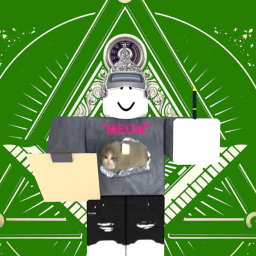 Tin Foil Hat Society Questionare