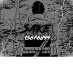 メ Sake