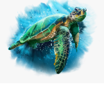 # Save The Turtles
