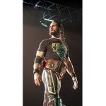 WWE Seth Rollins fan group