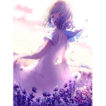*~Violets~*
