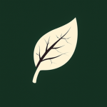Leafy's Studio