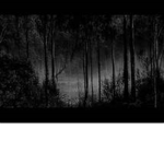 Hidden W[]lves
