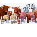 Farm animals are so amazing