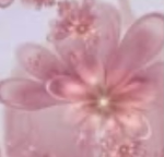 ~cocoanuts~