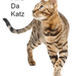 Katz United Meet-Up