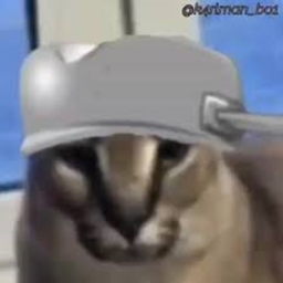 Slide to BigFloppa