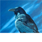 Blue Ravens CP