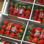 strawberry berry