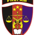 [INRP] PROFESI PENGAMANAN