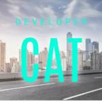 DeveloperCat Team