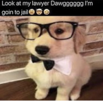 The Anime/W33B Community