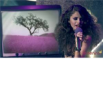 The Selena Gomez Lovers!!!